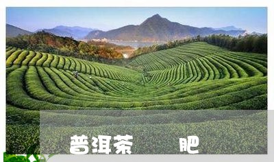 普洱茶 減肥/2023042781802